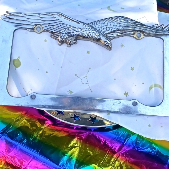 Chrome Metal Eagle Flying